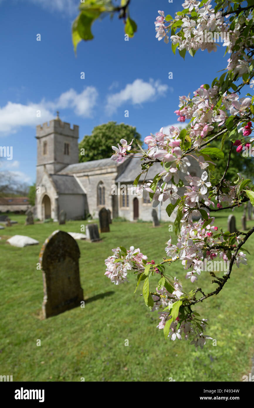 North Bradley Church and graveyard in Spring against green grass and