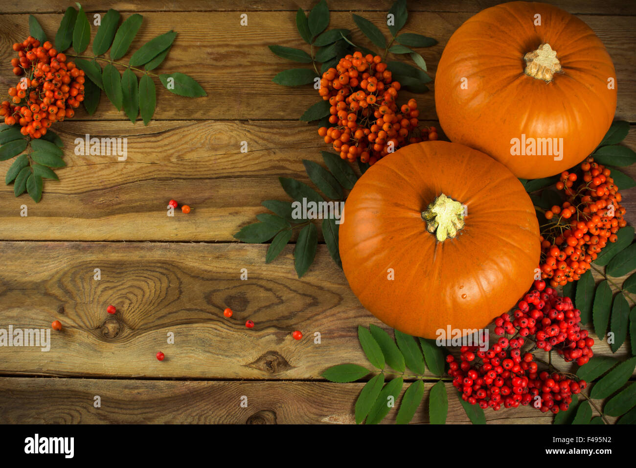 pumpkins, rowan berries and leaves on wooden background Stock Photo - Alamy