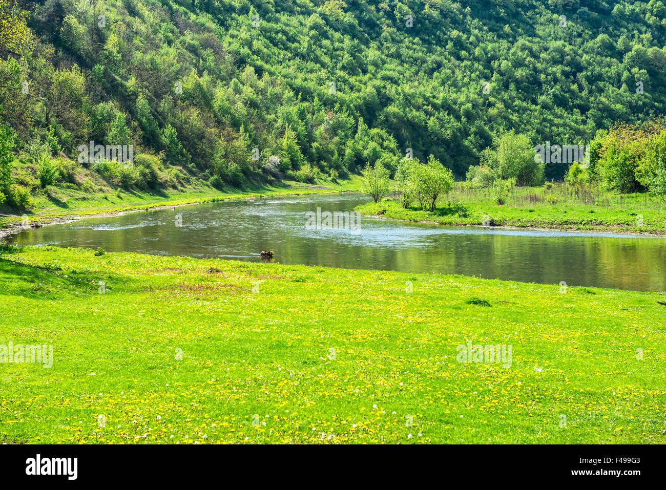 Green river valley covered with grass Stock Photo