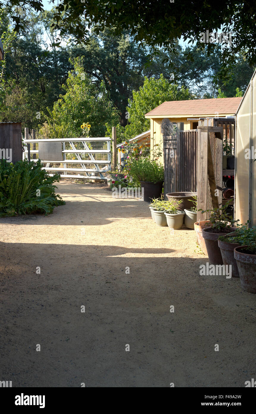 garden shed potted plants and woods on winery estate along gated gravel path Stock Photo