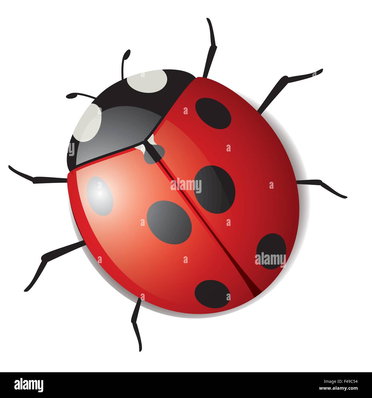 Ladybug Alphabet and Numbers Svg Love Bug Letters (Instant Download) 