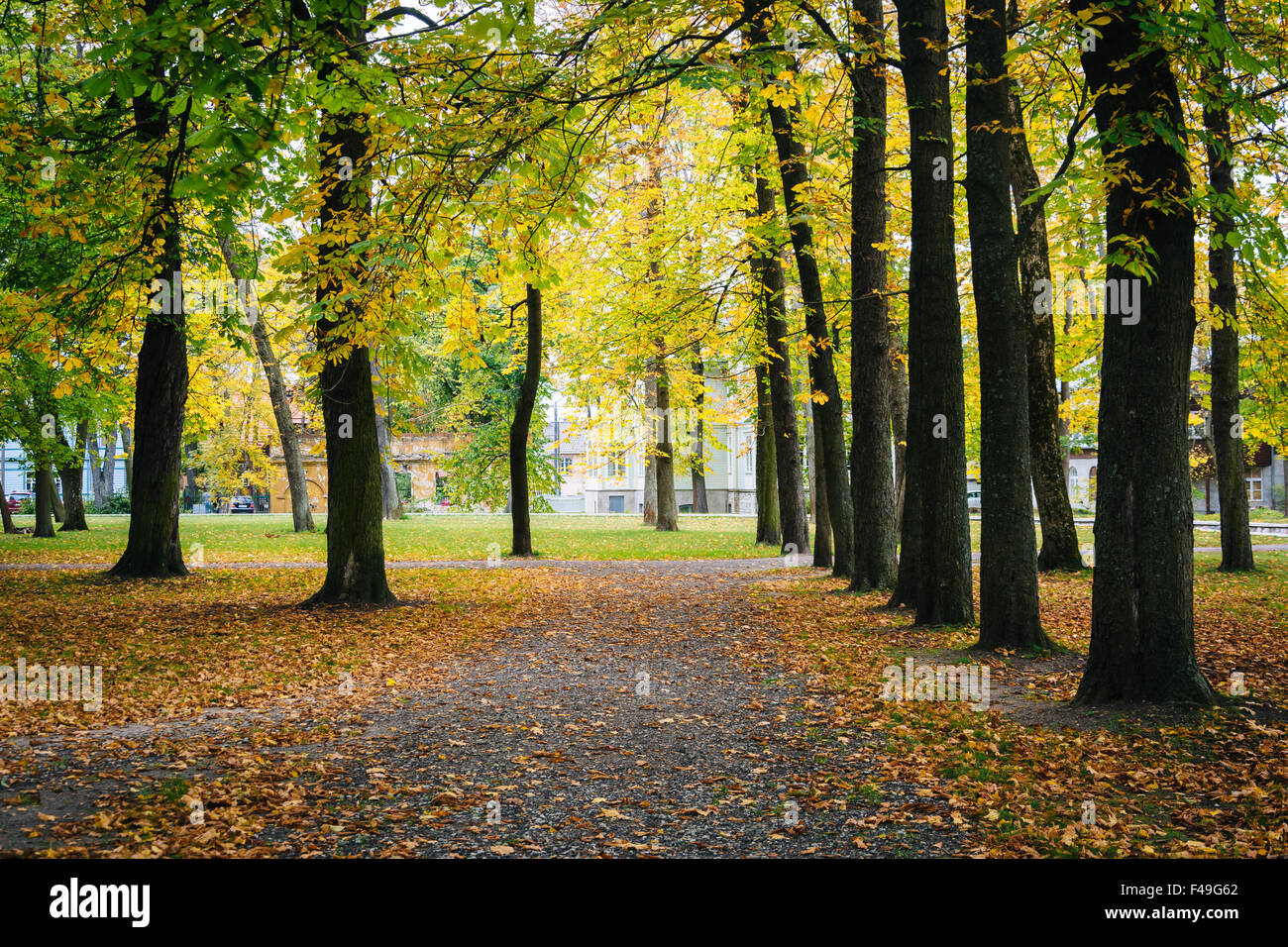 Early autumn color seen at Kadrioru Park, in Tallinn, Estonia. Stock Photo