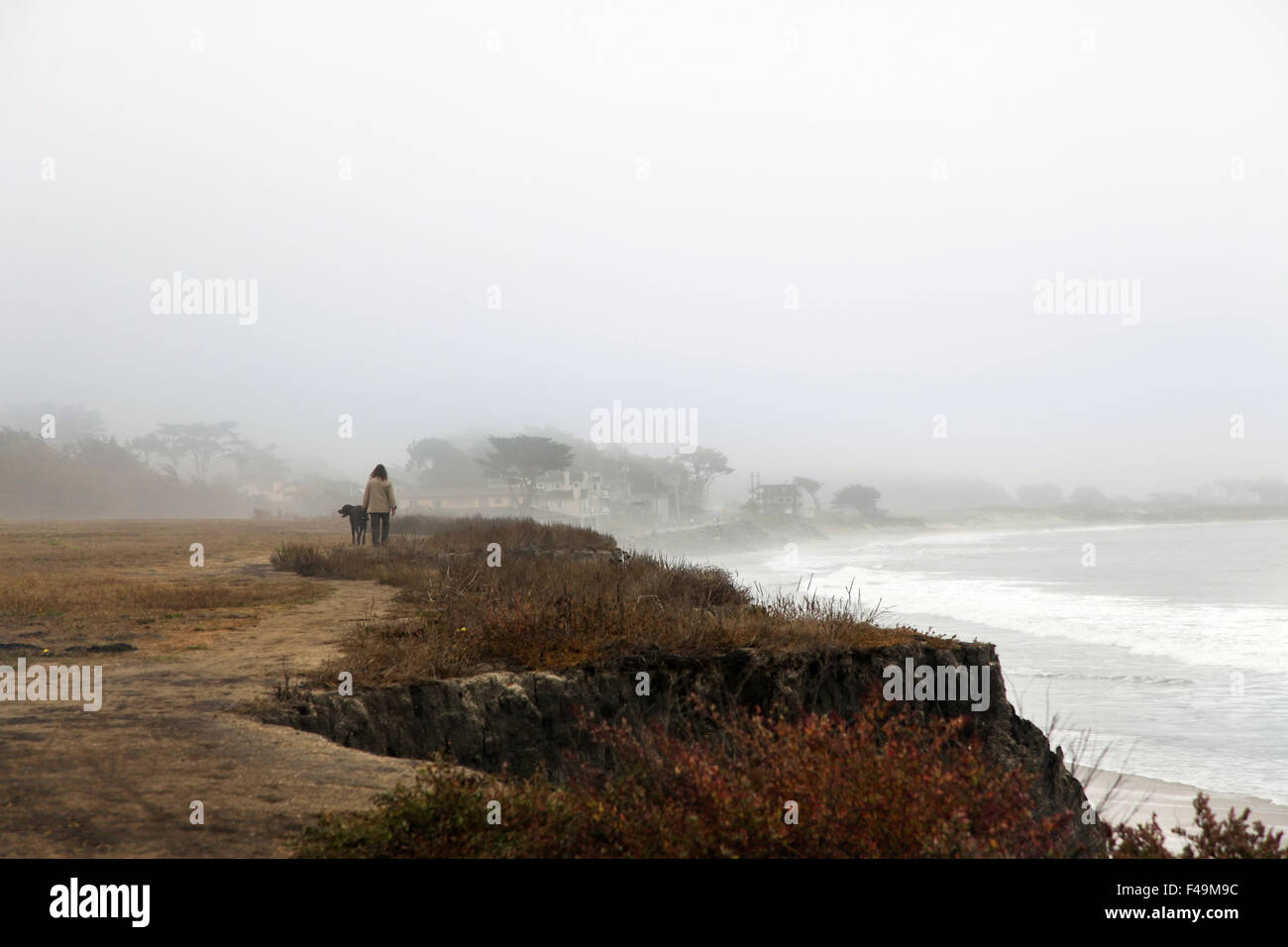 Half moon bay dog trail hires stock photography and images Alamy