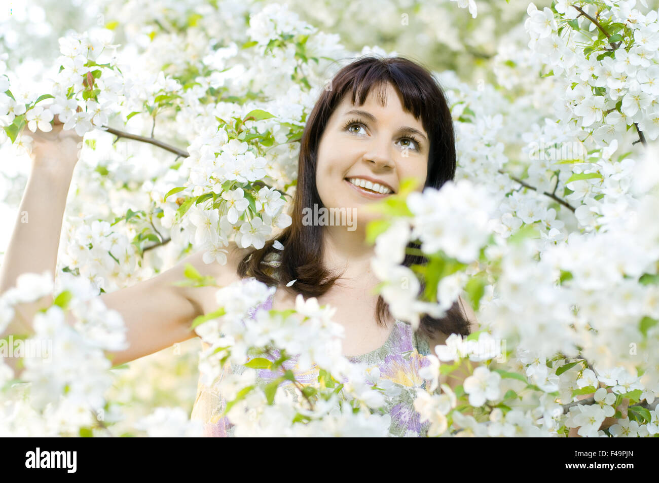 pretty girl Stock Photo