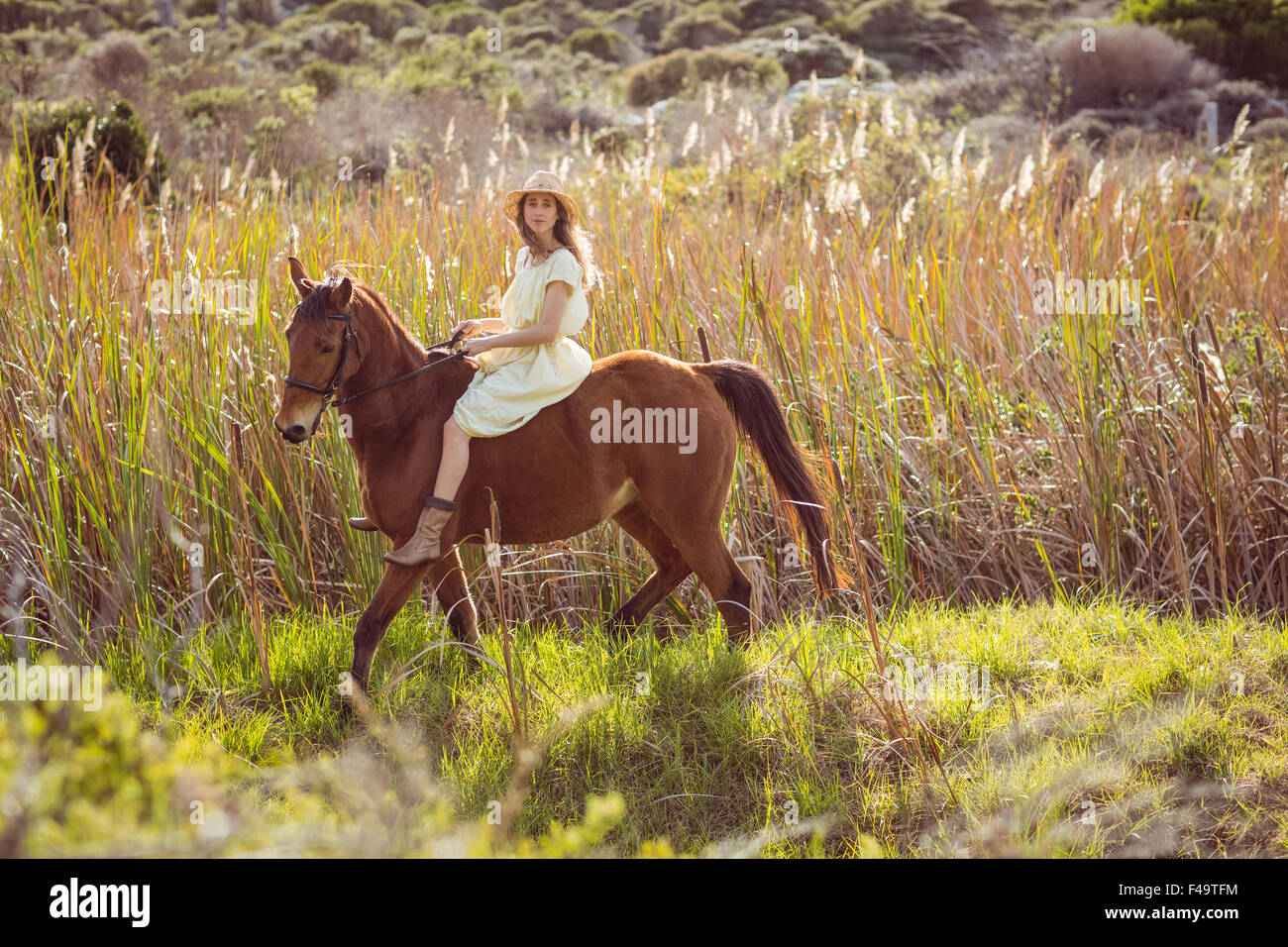 Young woman riding her horse Stock Photo - Alamy