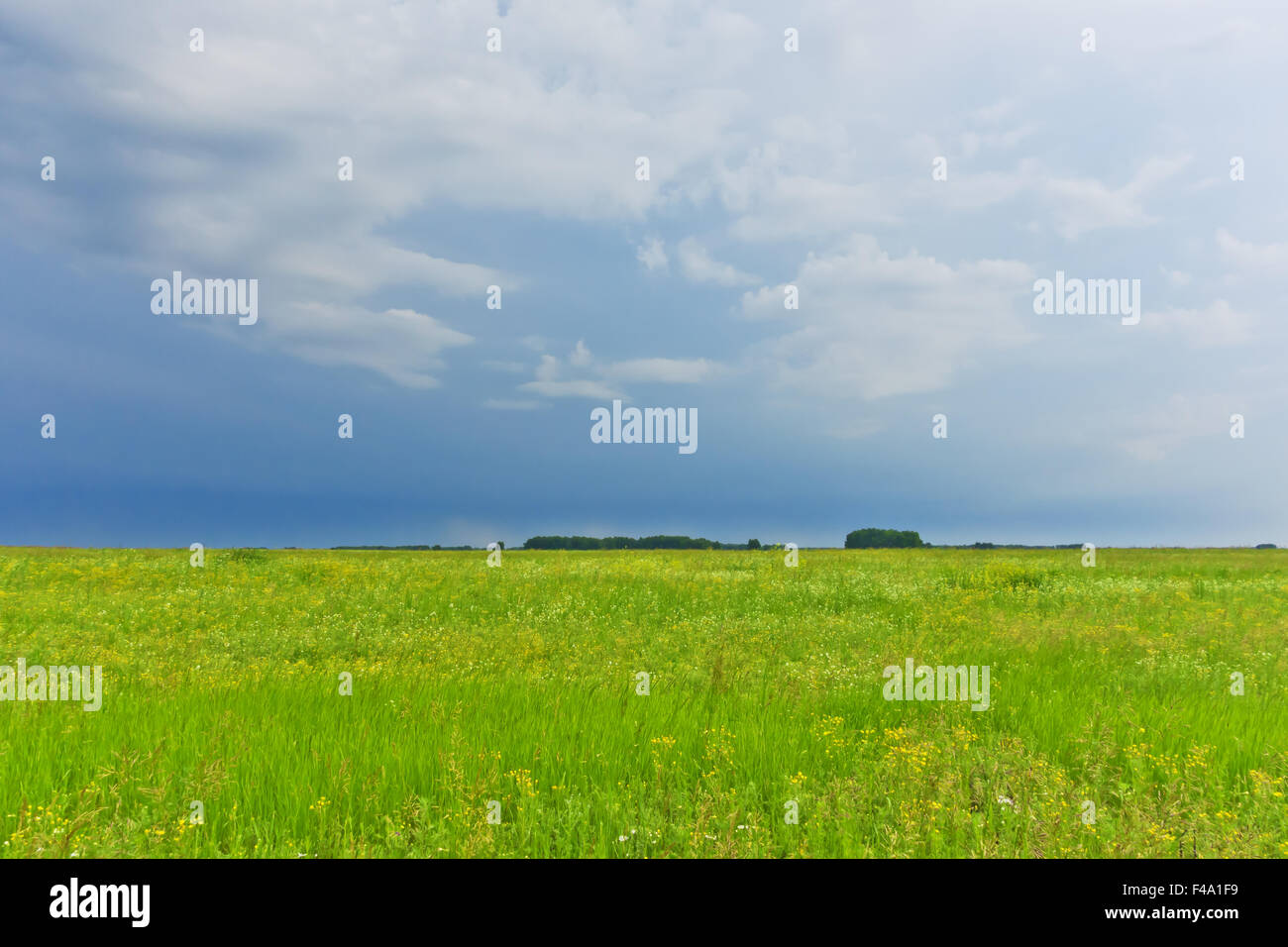 Summer rainy natural landscape hi-res stock photography and images - Alamy