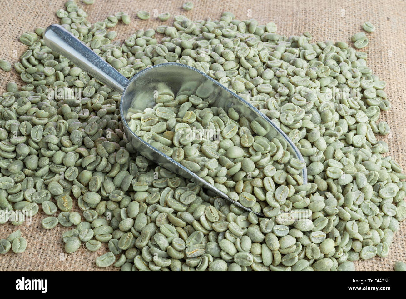 Green coffee beans Stock Photo Alamy