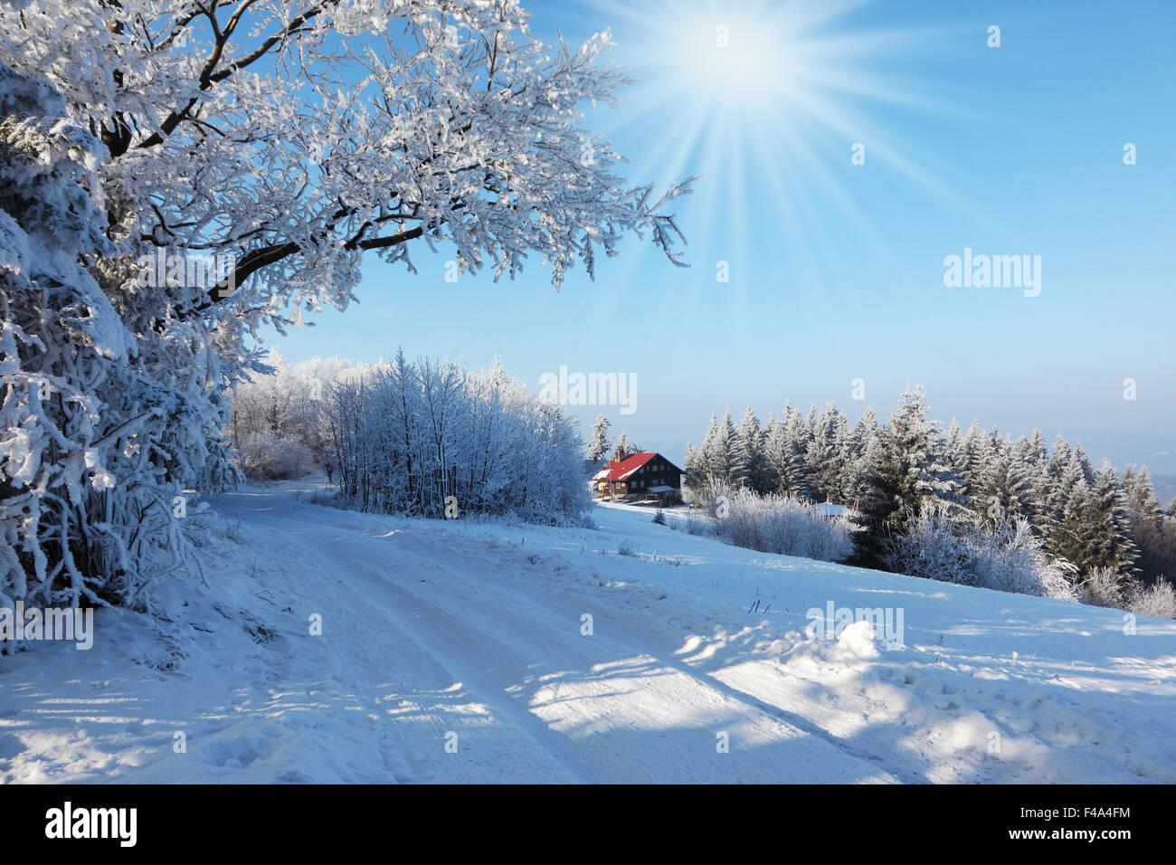 Rolled ski track on sunny December day Stock Photo