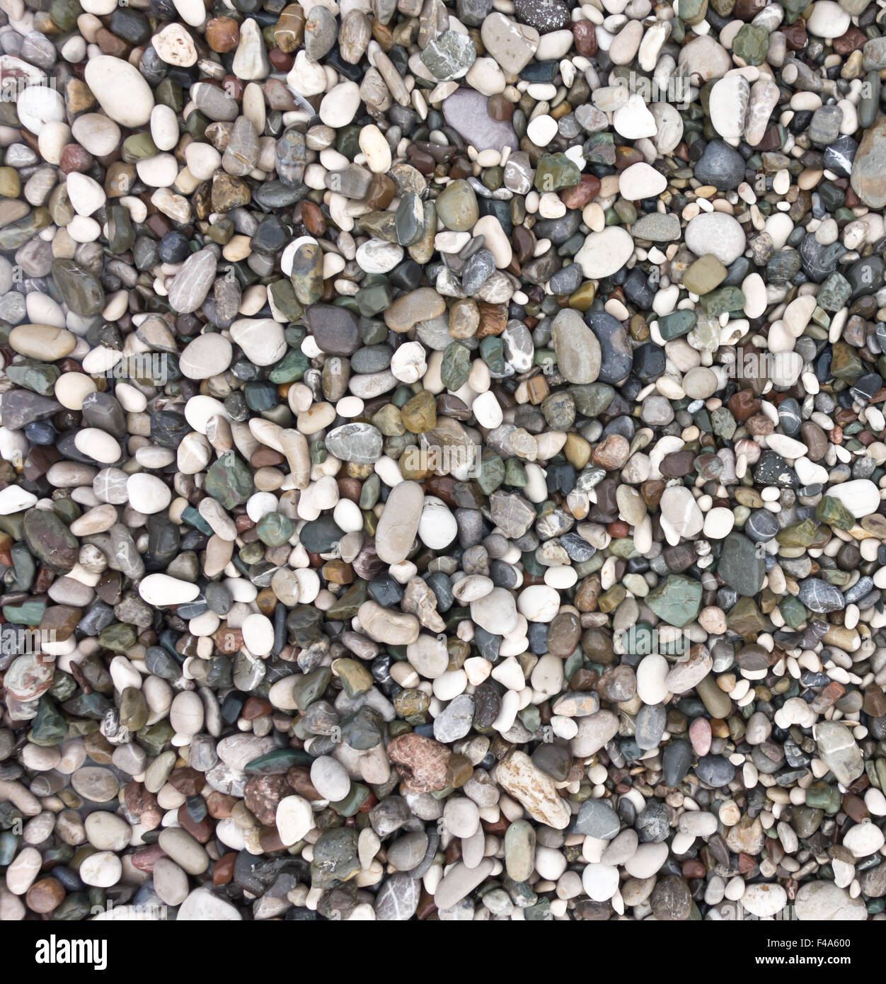 Pebble background hi-res stock photography and images - Alamy