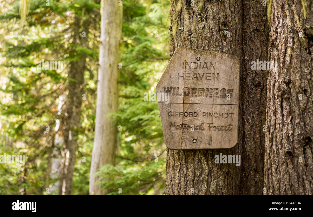 GIFFORD PINCHOT NATIONAL FOREST, WASHINGTON, USA Wooden sign on tree