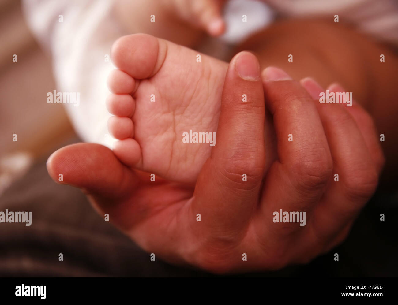 Baby boy legs Stock Photo Alamy