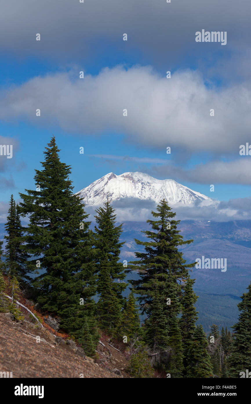 GIFFORD PINCHOT NATIONAL FOREST, WASHINGTON, USA Mount Adams