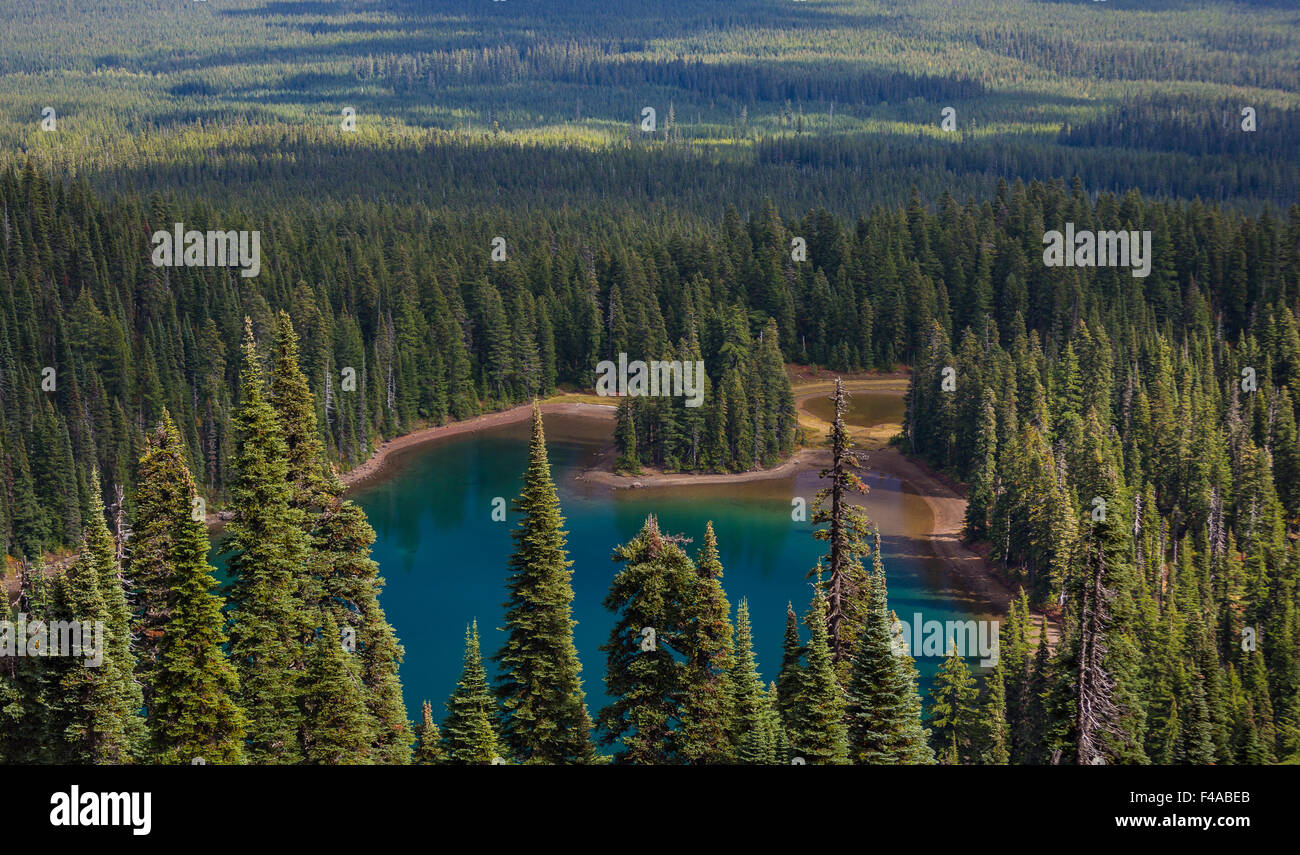 GIFFORD PINCHOT NATIONAL FOREST, WASHINGTON, USA Lake Wapiki in