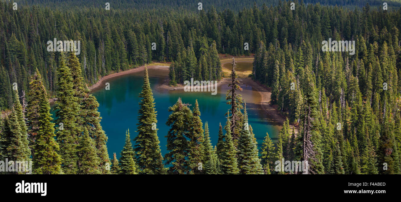 GIFFORD PINCHOT NATIONAL FOREST, WASHINGTON, USA Lake Wapiki in