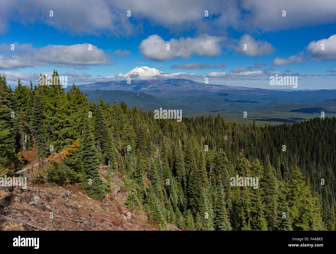 GIFFORD PINCHOT NATIONAL FOREST, WASHINGTON, USA Mount Adams