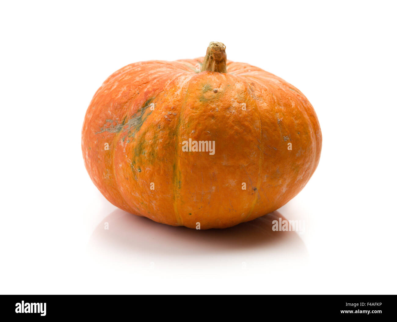 a pumpkin, isolated on a white background Stock Photo - Alamy
