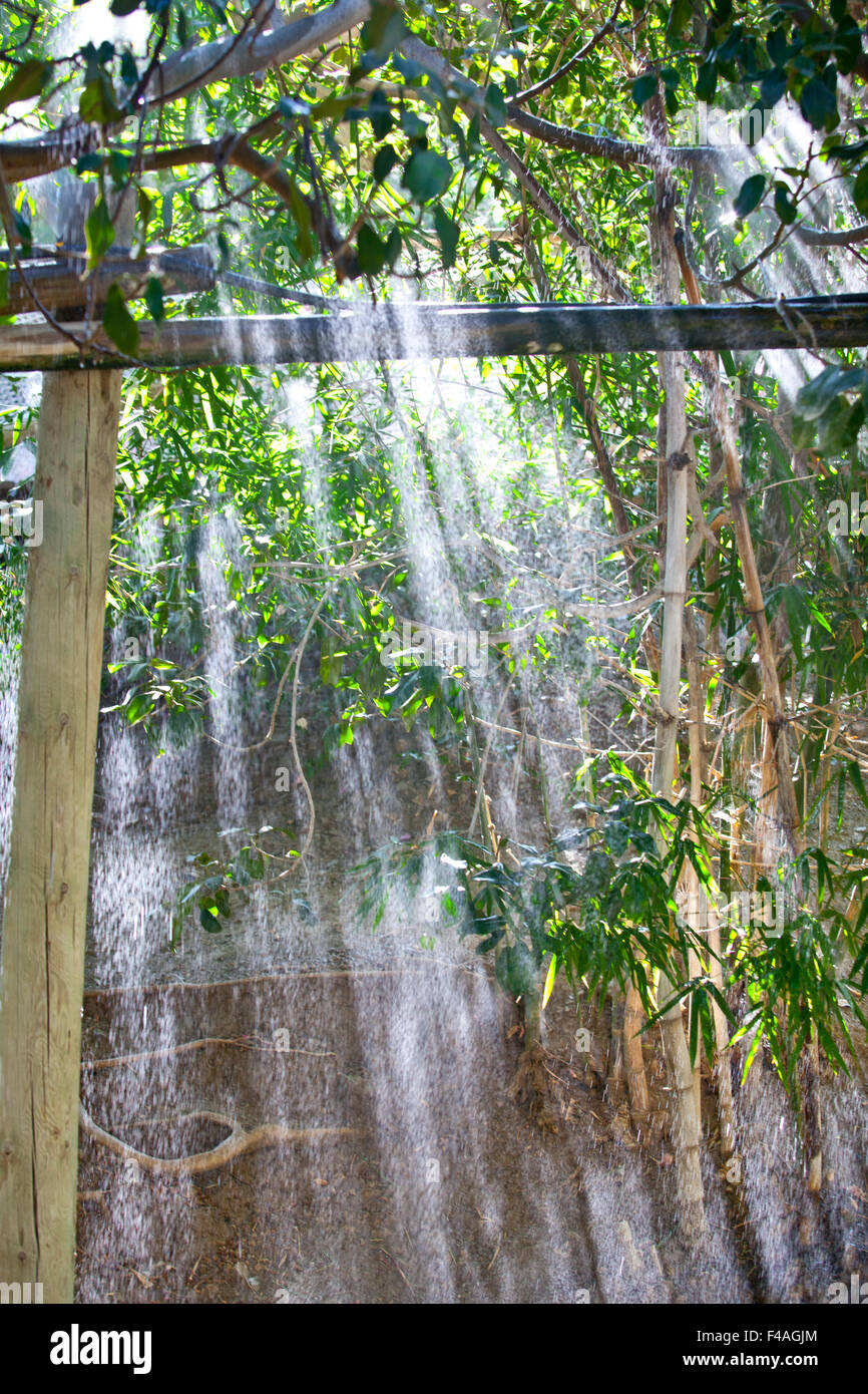 Rays of light through the watering jets on a tropical garden Stock Photo