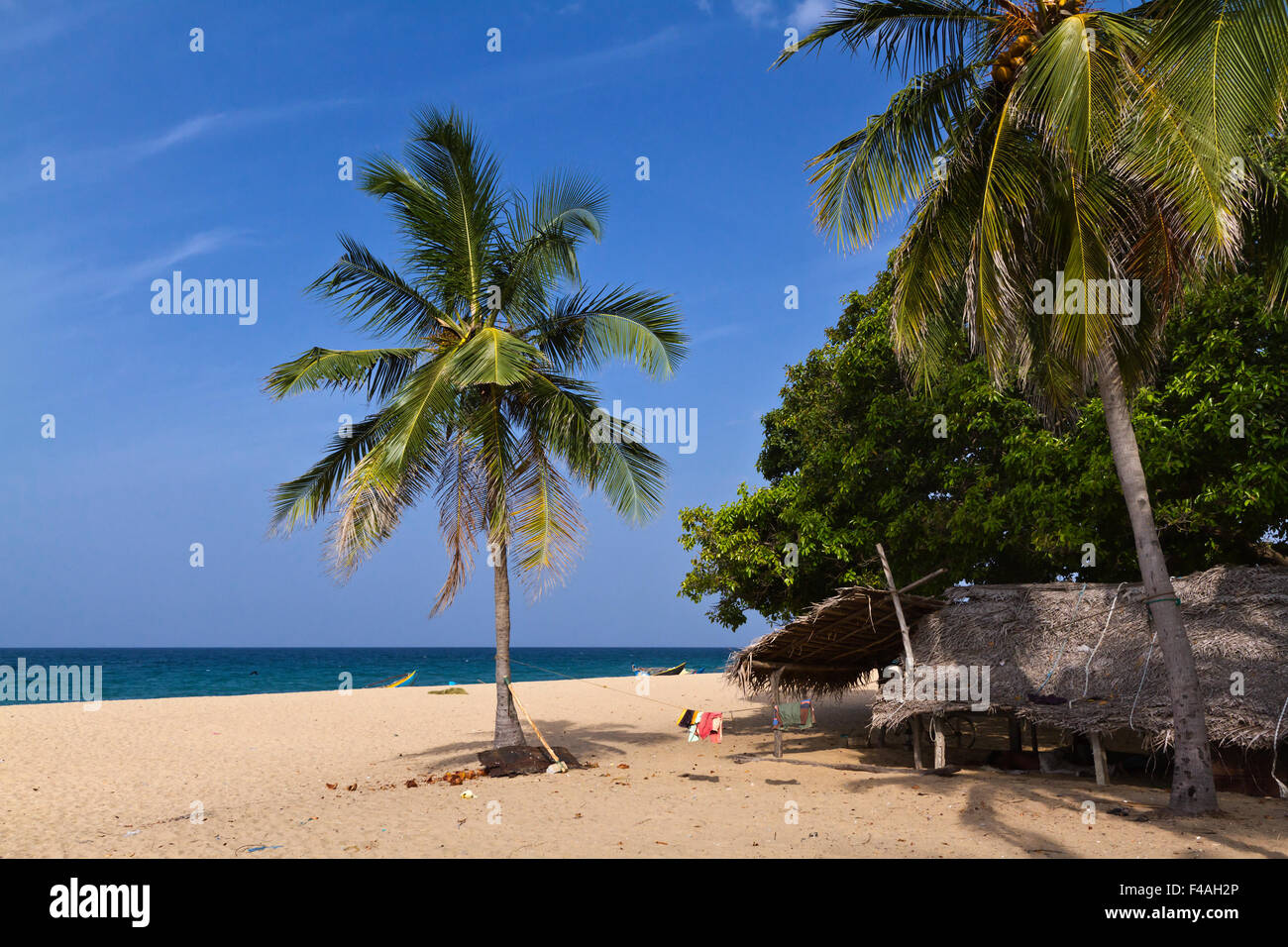 Top 47+ imagen love island beach hut background - thpthoangvanthu.edu.vn