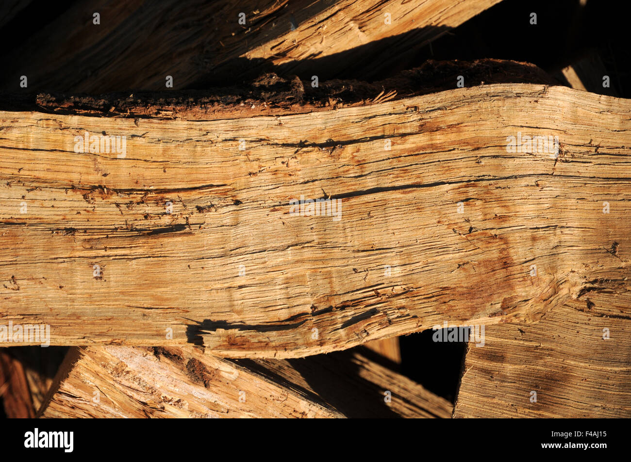 Firewood, oak Stock Photo Alamy