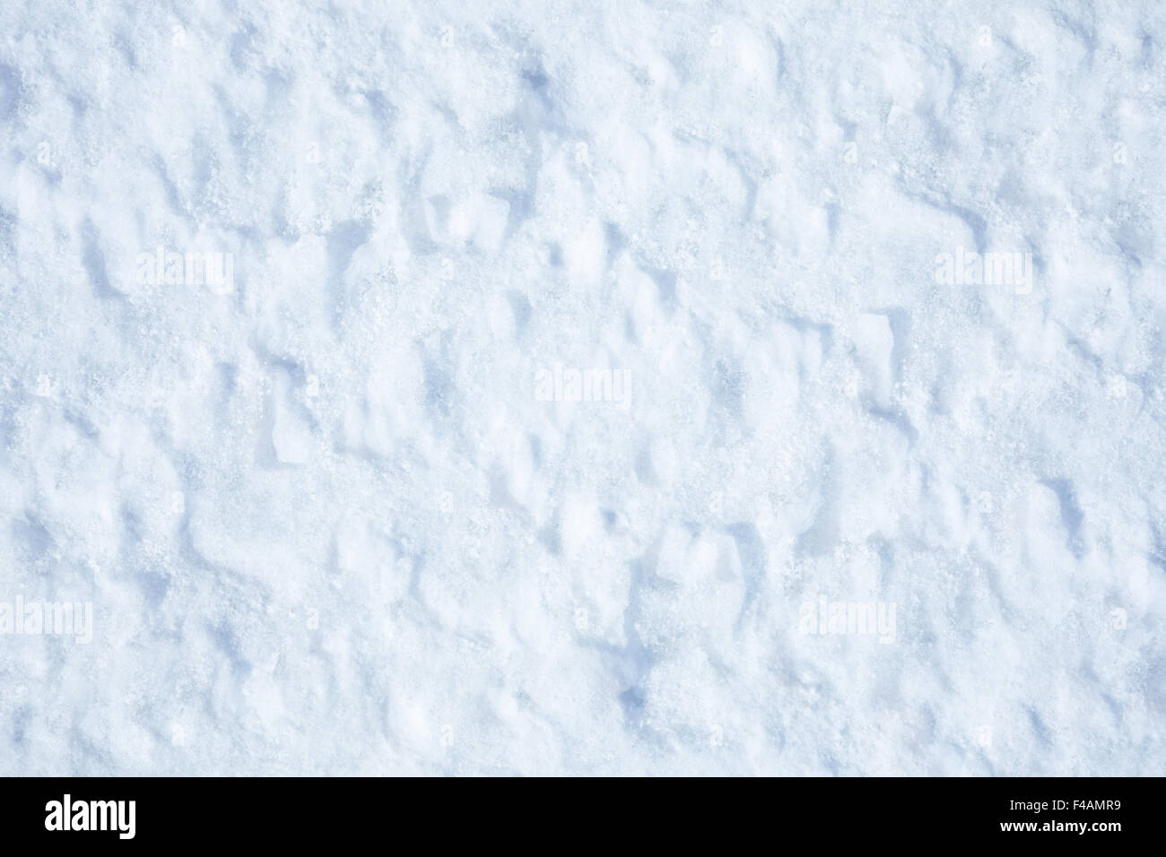 Snow texture Stock Photo