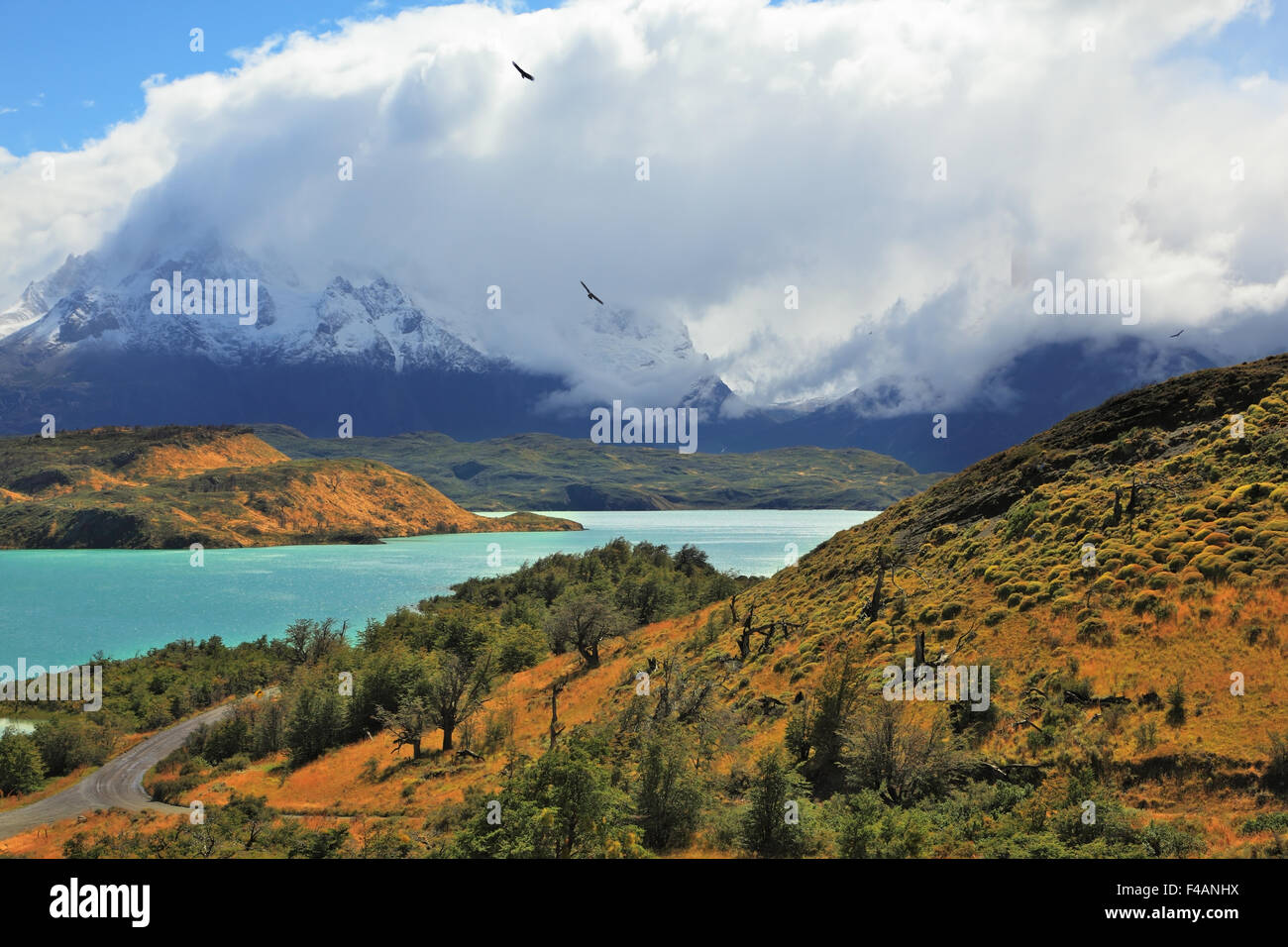 The snowy peaks  Los Cuernos Stock Photo