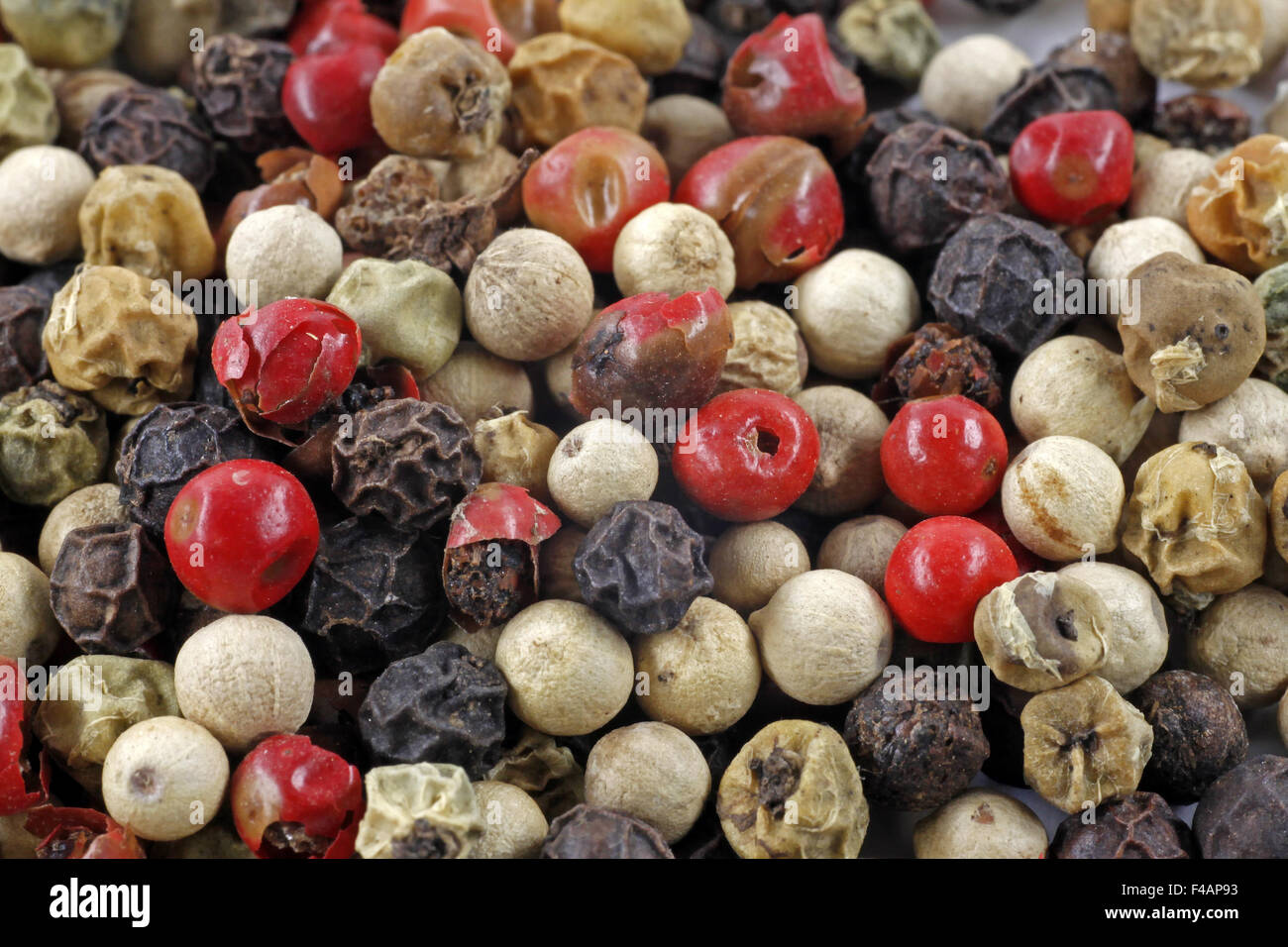 Pepper corns pepper family Stock Photo Alamy