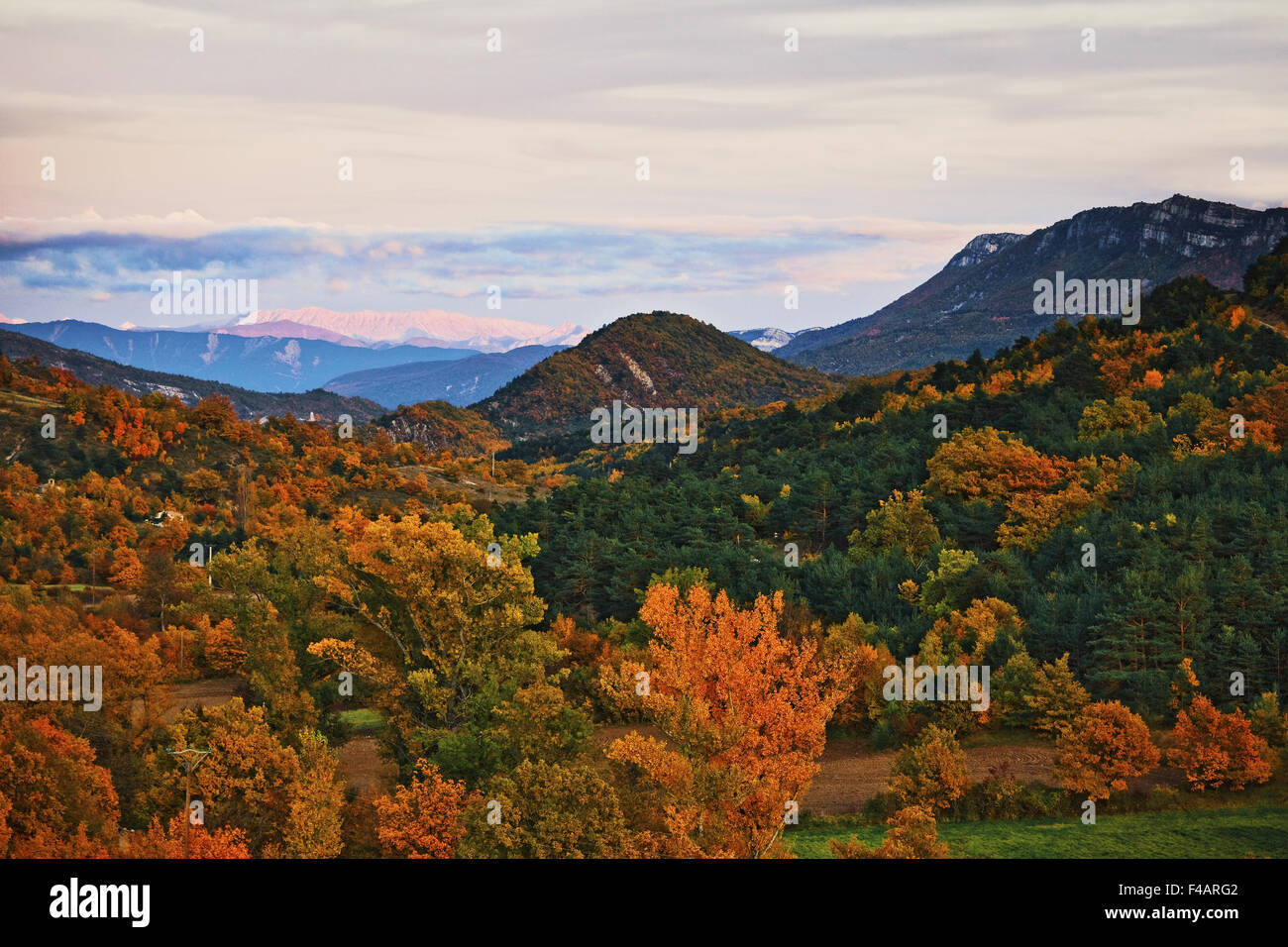 landscape in autumn, Provence, France Stock Photo