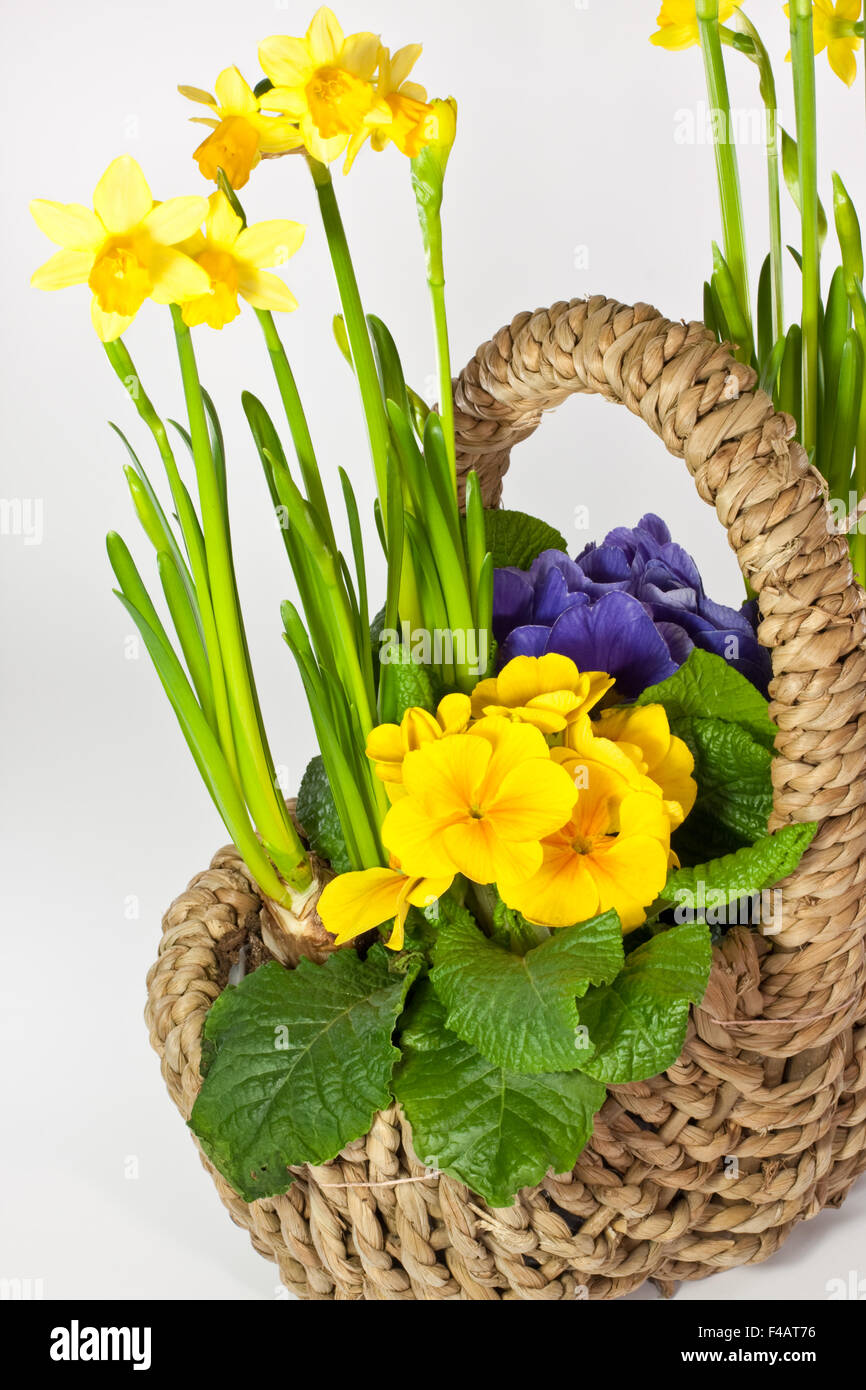 Korb mit Blumen, basket with flowers Stock Photo - Alamy