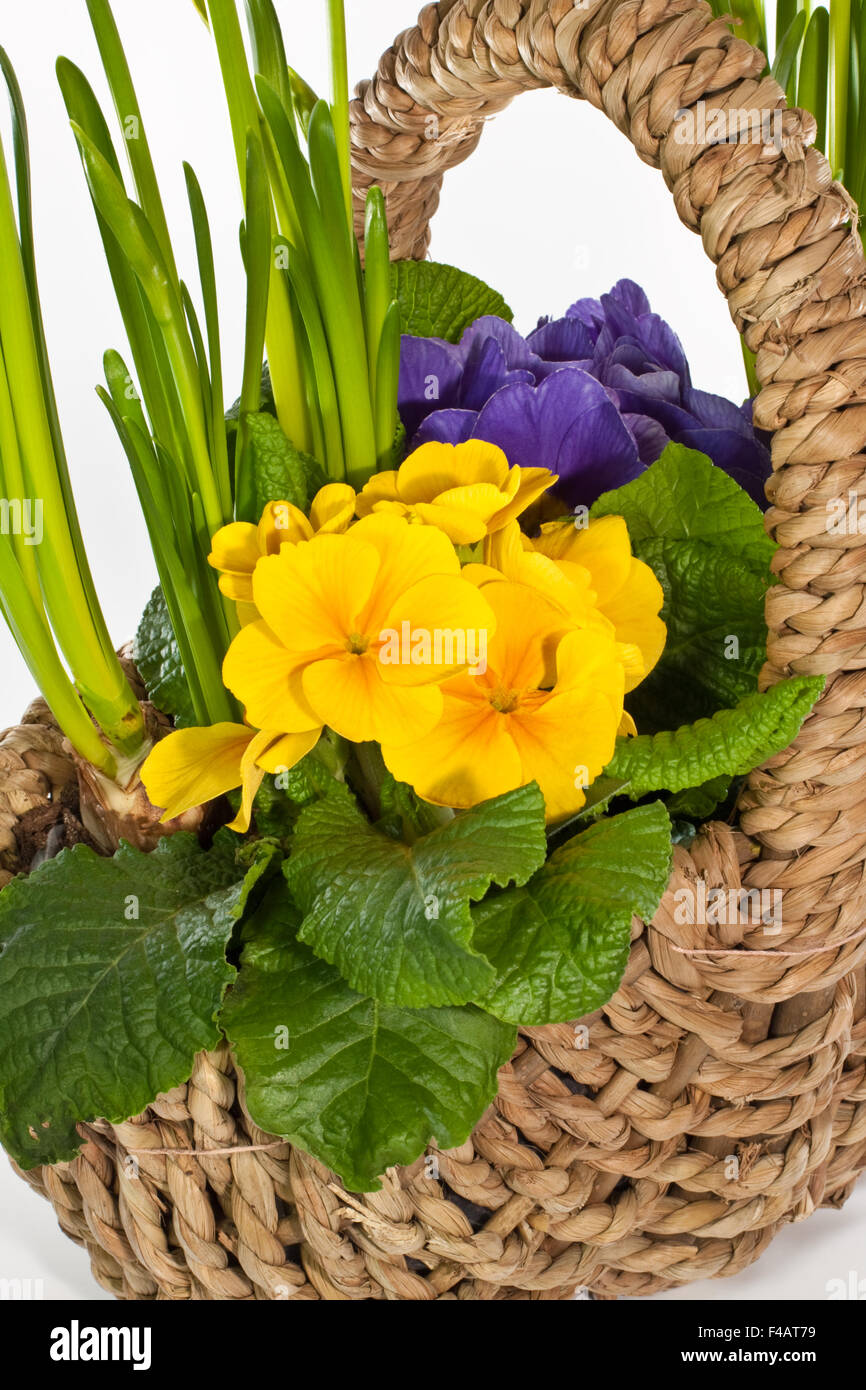 Blumen korb hi-res stock photography and images - Alamy