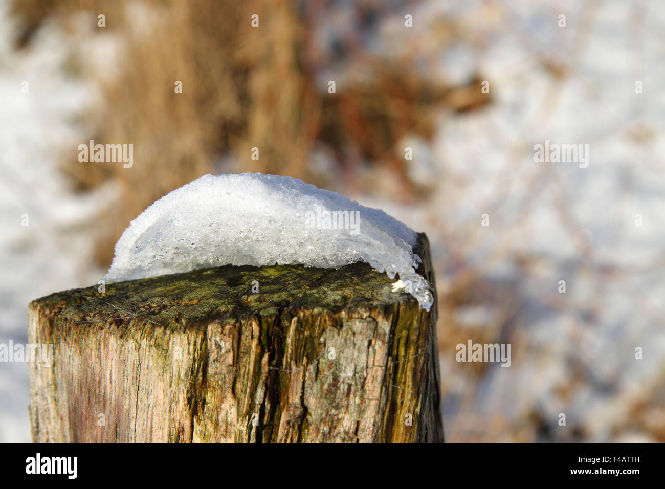 Snow dome Stock Photo