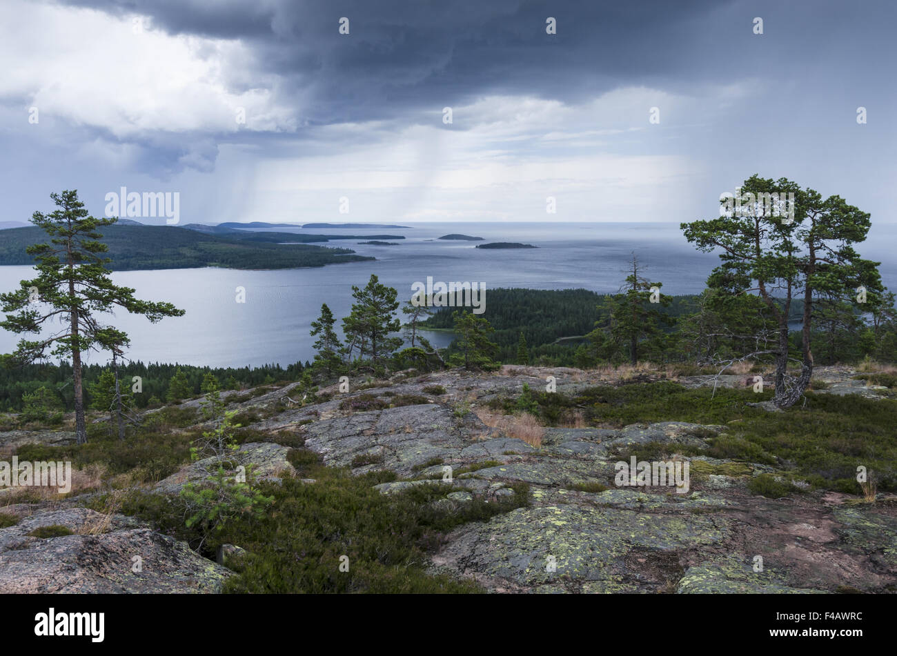 rainshower, Skuleskogen NP, High coast, Sweden Stock Photo