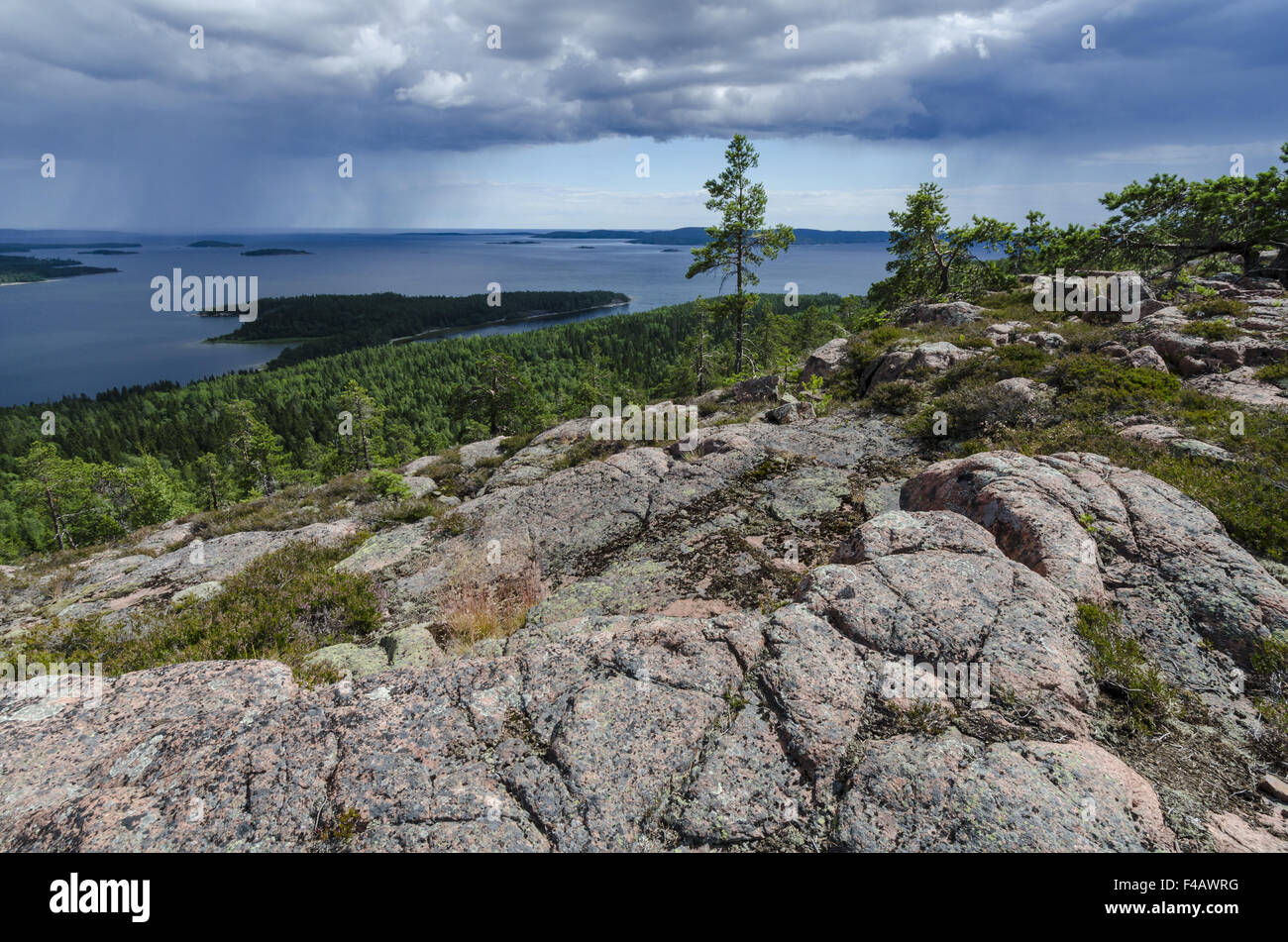 rainshower, Skuleskogen NP, High coast, Sweden Stock Photo