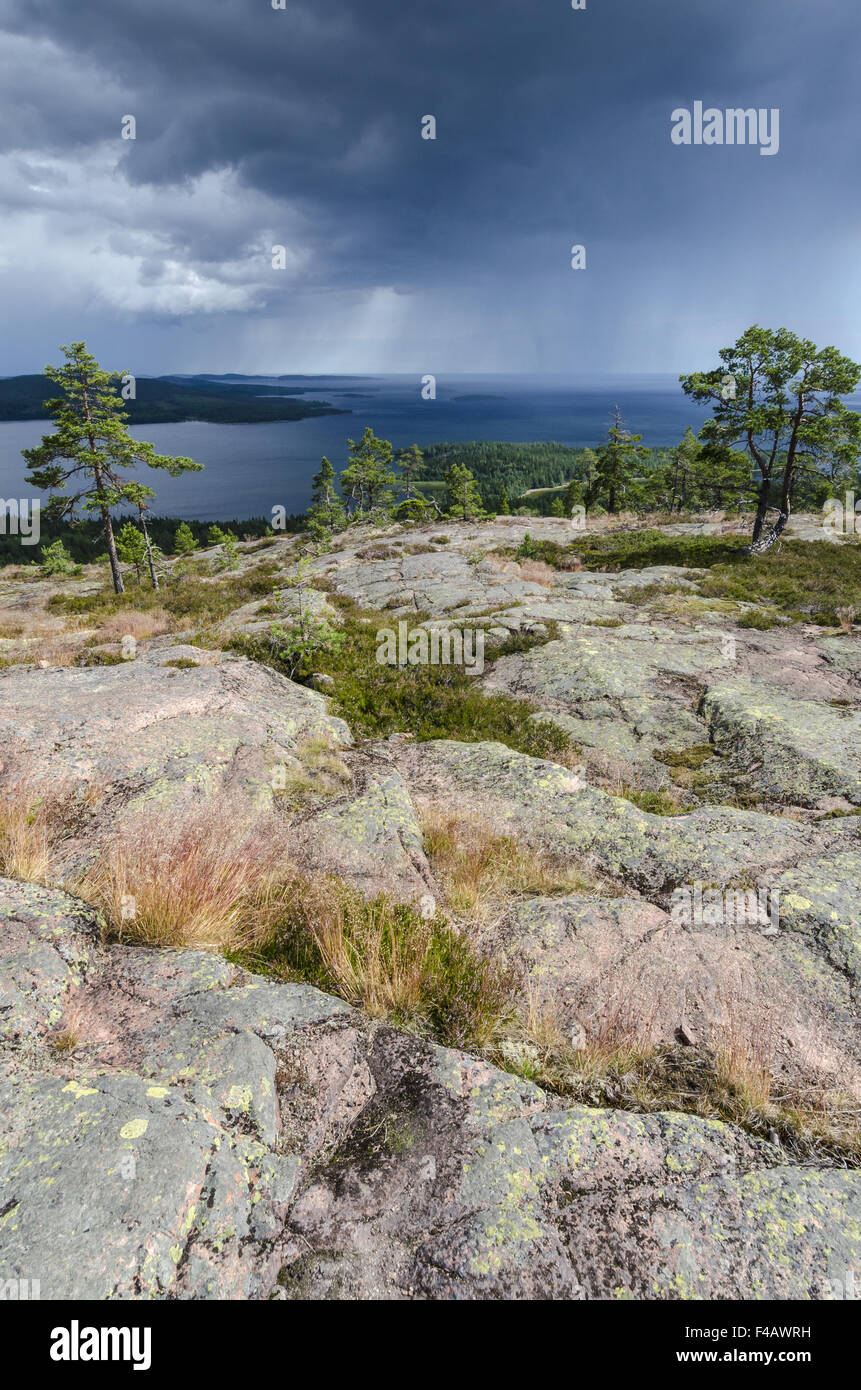 rainshower, Skuleskogen NP, High coast, Sweden Stock Photo