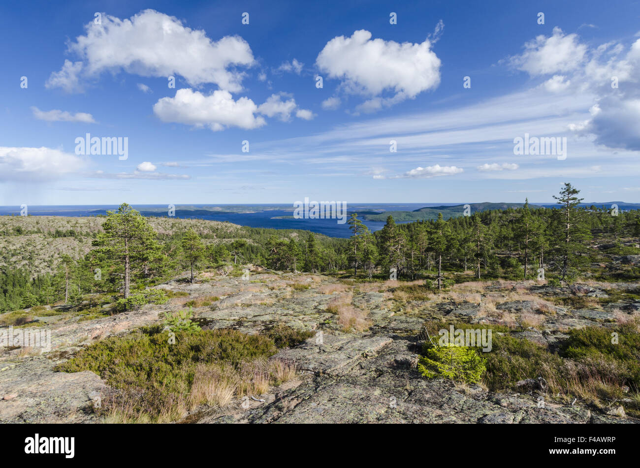 landscape in Skuleskogen NP, High coast, Sweden Stock Photo