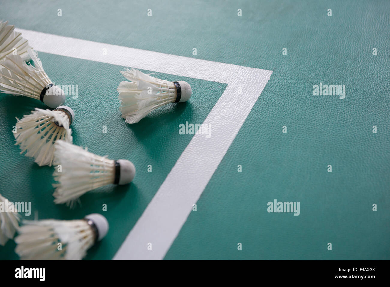 used shuttlecocks inside the edge of a badminton courts Stock Photo