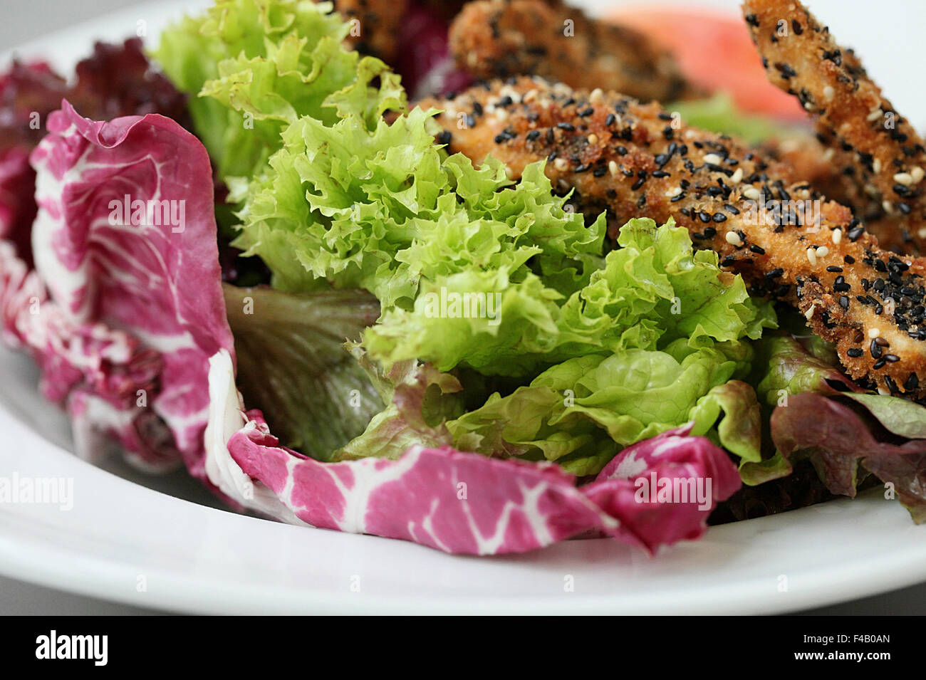 Turkey and lettuce Stock Photo