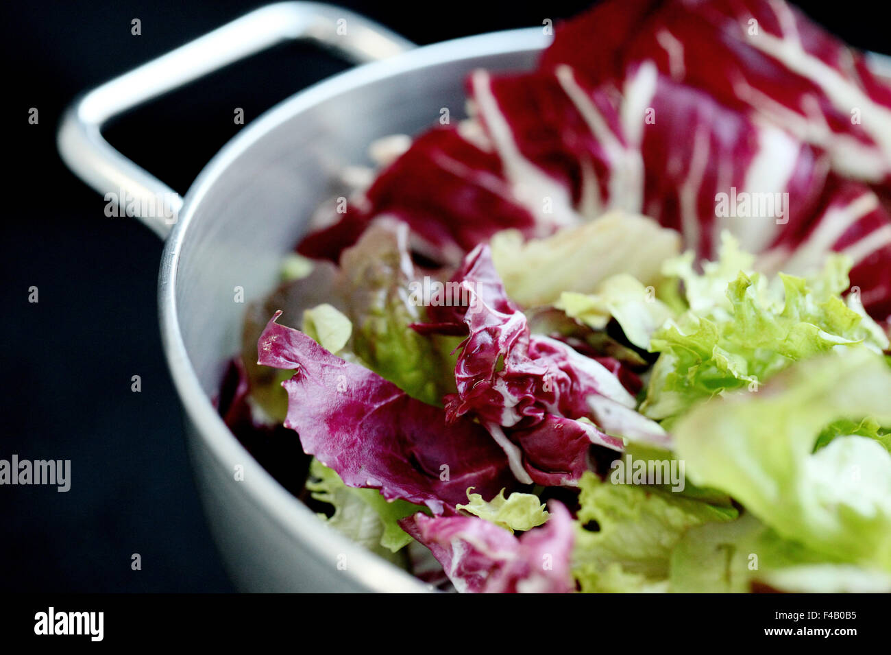lettuce Stock Photo