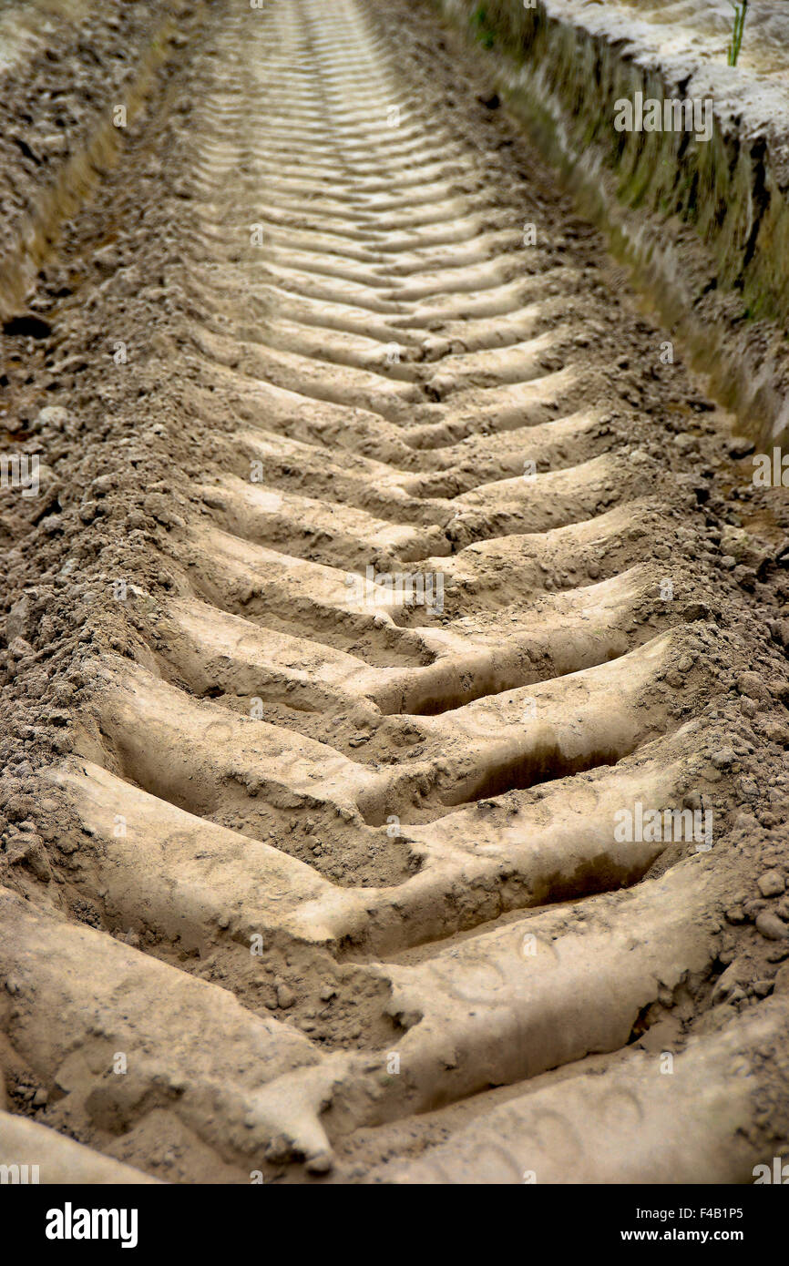 Tire tracks in a field of asparagus Stock Photo