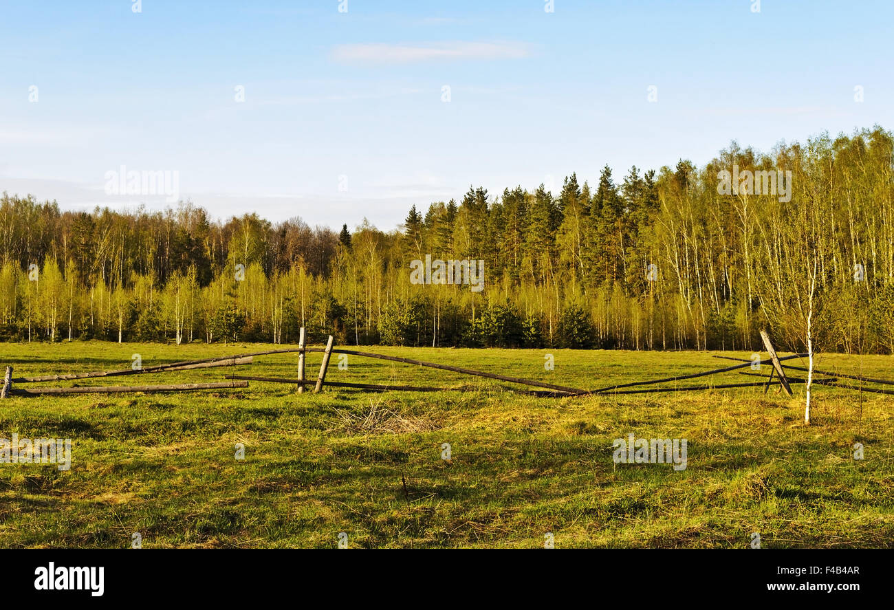 Fenced green pasture in a forest Stock Photo