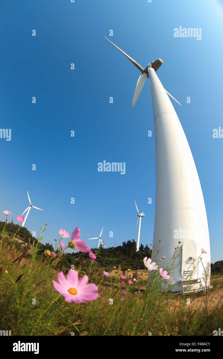 wind turbines generating electricity and flower Stock Photo
