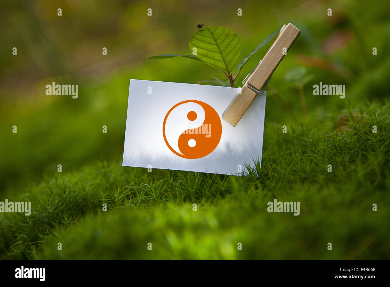 Yin & Yang-Symbol on paper with a seedling Stock Photo