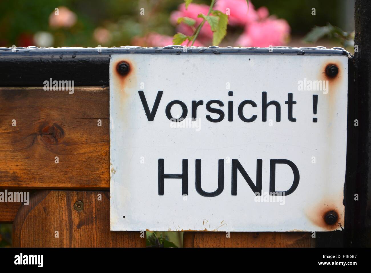 Beware of Dog Stock Photo Alamy