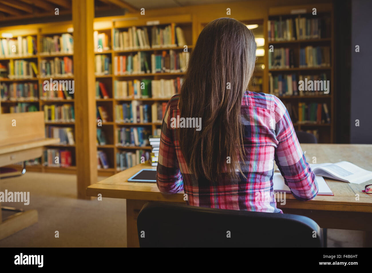 Rear view of female student studying Stock Photo