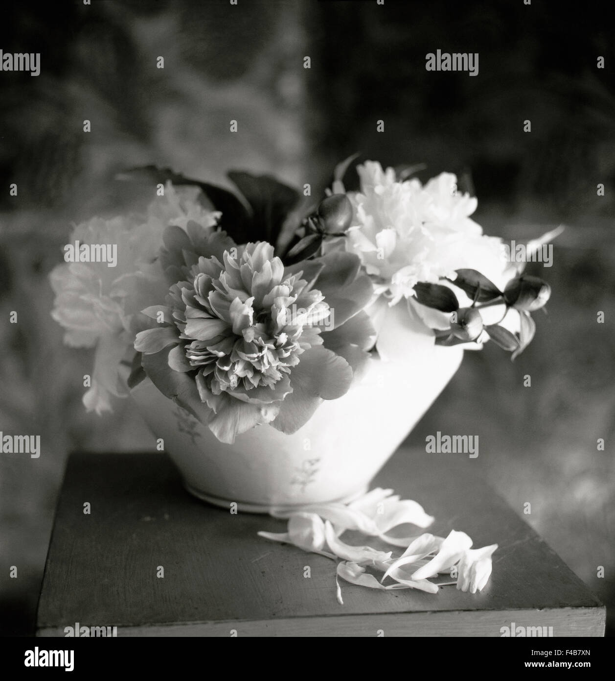 bouquet catalogue 2 closeup color image flower plants square Swedish