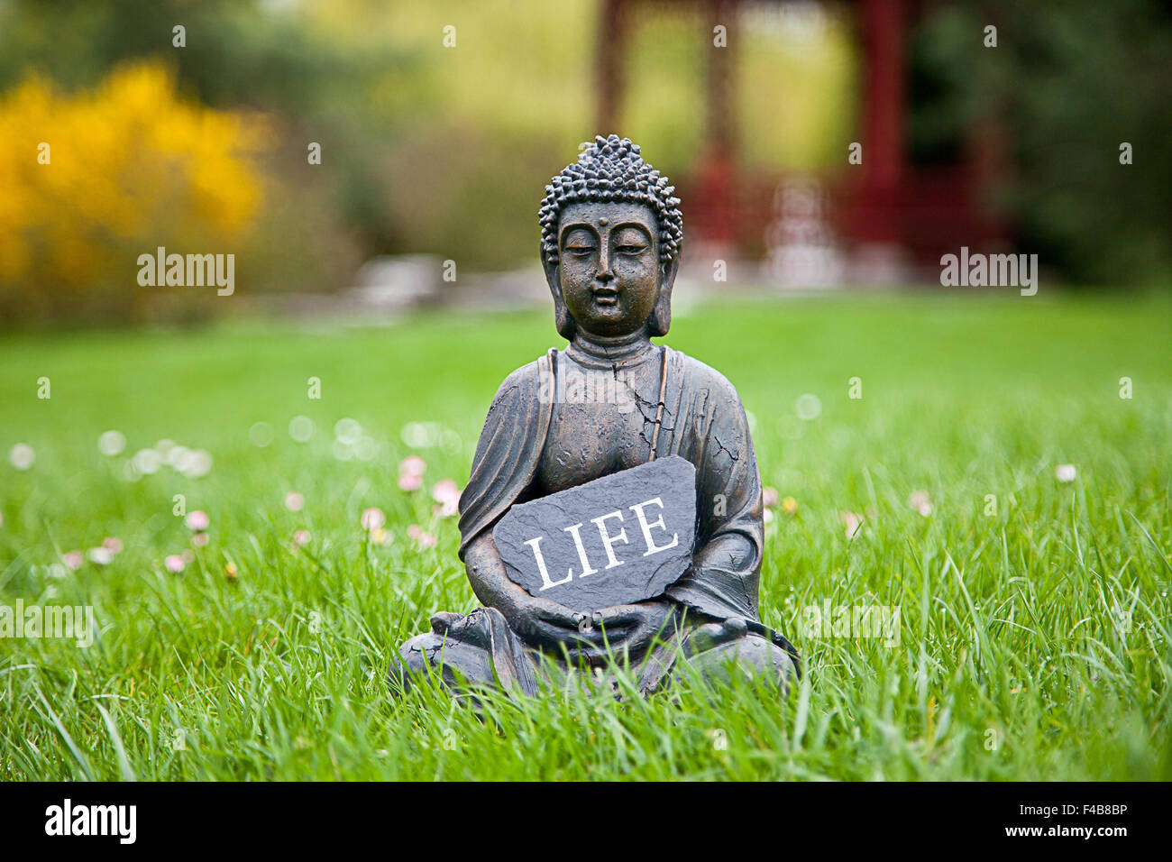 The word Life with Buddha Statue Stock Photo