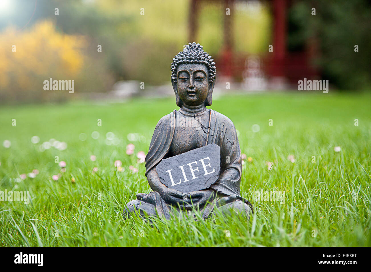 The word Life with Buddha Statue Stock Photo Alamy