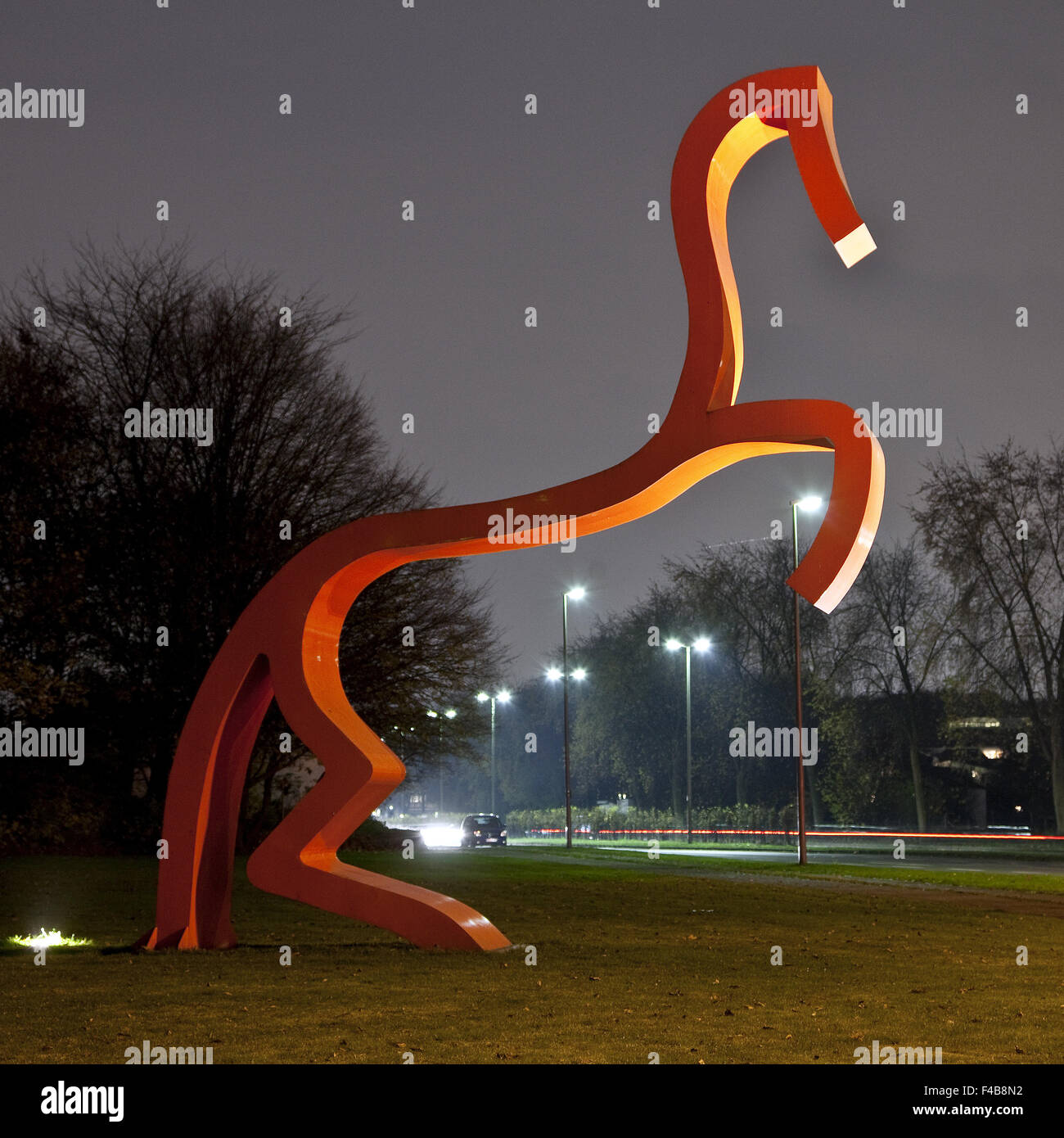 Westfalen horse hi-res stock photography and images - Alamy