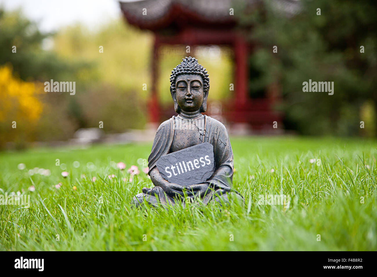 The word Stillness with Buddha Statue Stock Photo Alamy