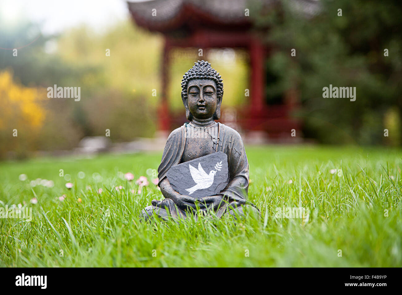 Dove peace buddha statue hi-res stock photography and images - Alamy
