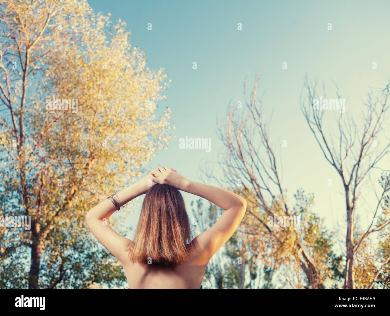 rear view blond trees Stock Photo - Alamy